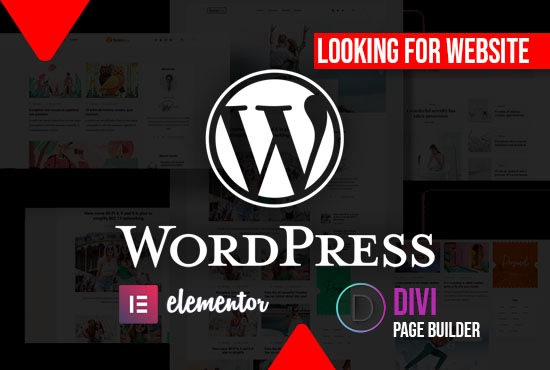 Gig Preview - Create a responsive wordpress website with elementor pro or divi