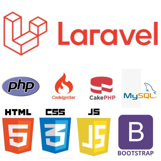 Gig Preview - Develop your PHP laravel custom web app