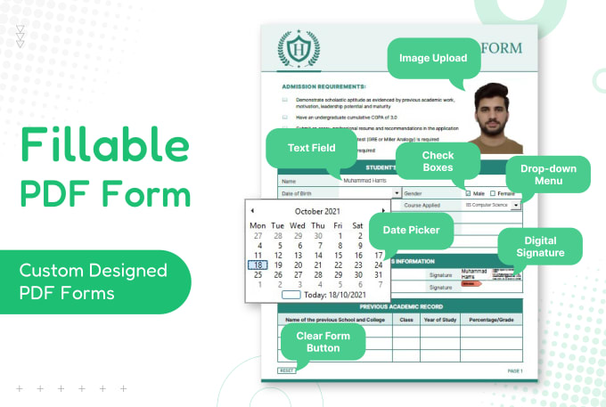 Gig Preview - Create electronically fillable pdf form with attractive design