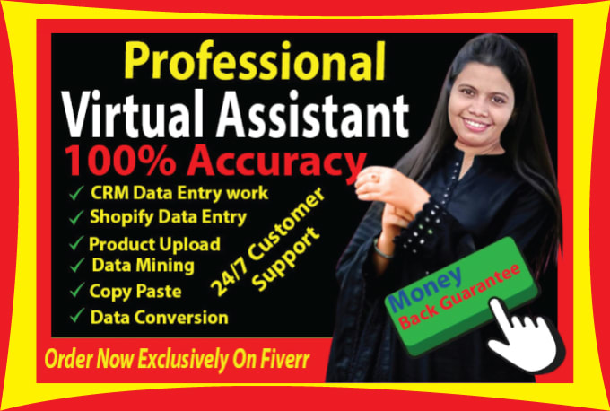 Gig Preview - Be your virtual assistant for data entry, data mining, and data collection