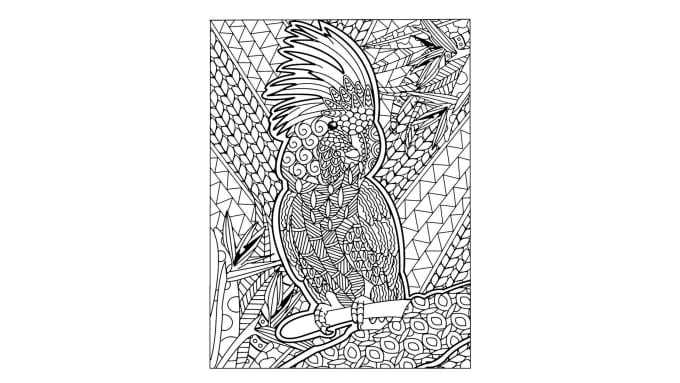 Gig Preview - Give 30 printable zen birds adult coloring pages