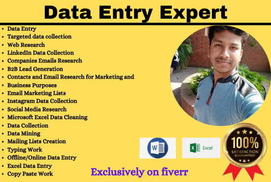 Gig Preview - Do data entry, web research, data collection, and email list