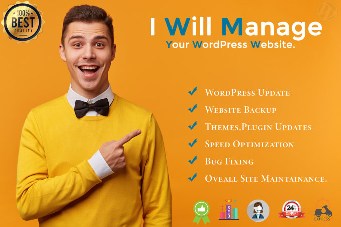 Gig Preview - Provide maintenance and support for your wordpress website