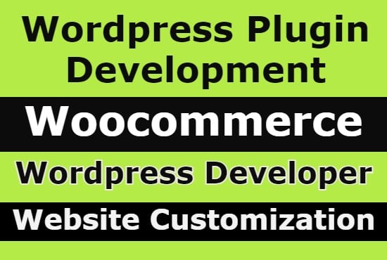 Gig Preview - Do wordpress plugin development and customization