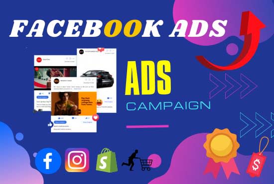 Gig Preview - Be your fb ads manager and setup  facebook ads campaign