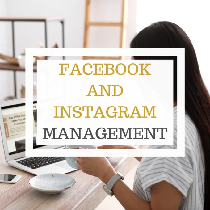 Gig Preview - Manage facebook and instagram