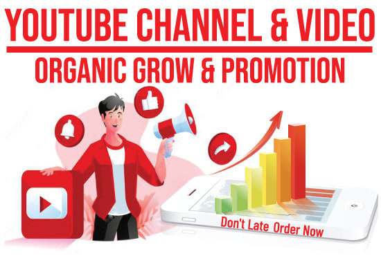 Gig Preview - Be your youtube channel manager, video promotion and video SEO expert