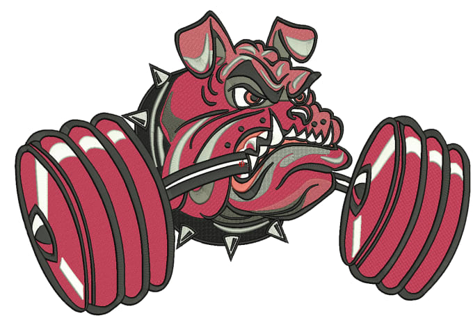 Gig Preview - Embroidery digitizing files dst and pes