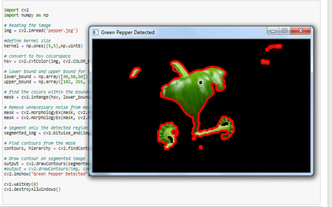 Gig Preview - Teach, code and make python lessons in jupyter