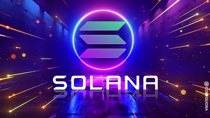 Gig Preview - Create nft minting engine dapp on solana , ethereum ,polygon