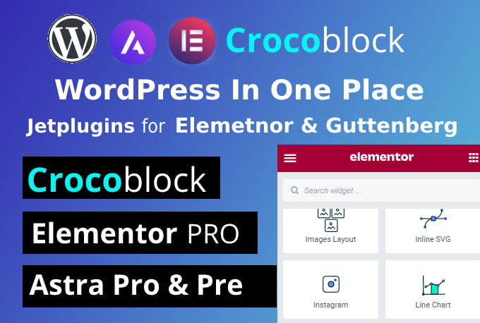 Gig Preview - Install elementor pro and crocoblock jetengine