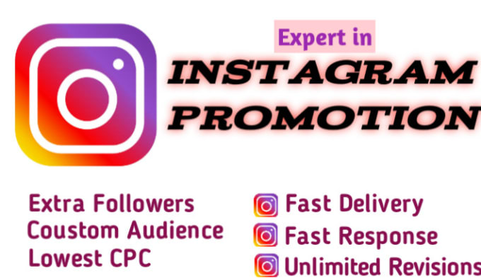 Gig Preview - Instagram followers and engagement