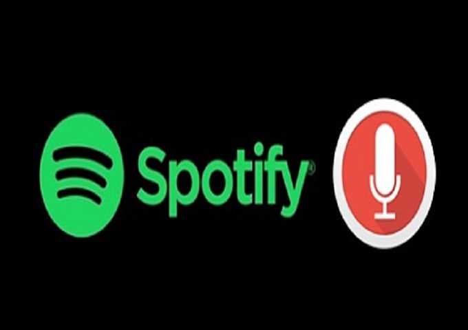 Gig Preview - Do organic spotify promotion for your spotify music