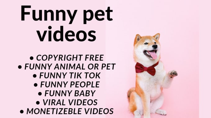 Gig Preview - Do monetizable funny pet videos for youtube