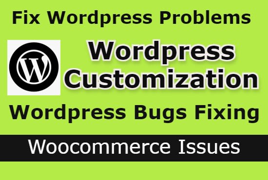 Gig Preview - Troubleshoot your wordpress website maintenance restore