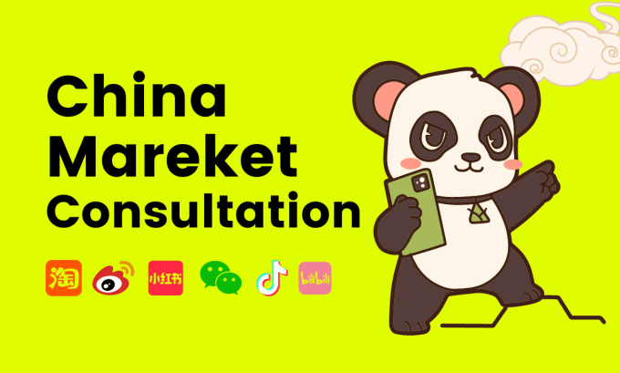 Gig Preview - Answer your questions about chinese market and ecommerce