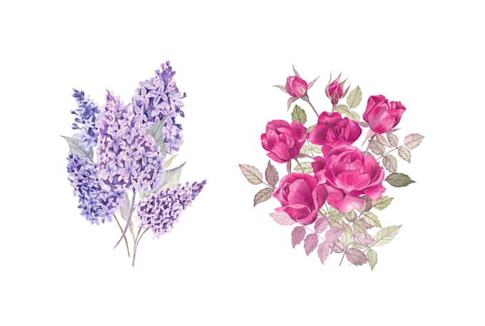 Gig Preview - Draw watercolor floral illustration