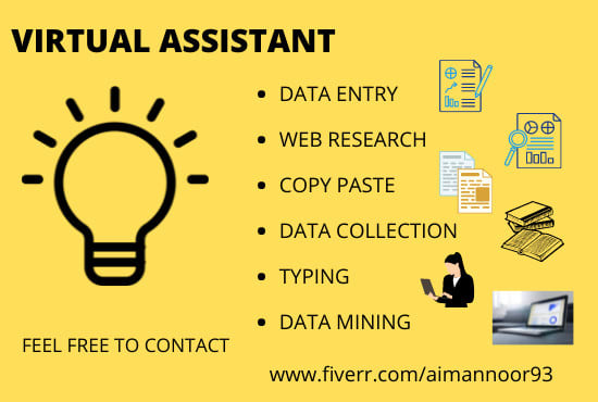 Gig Preview - Be your virtual assistant for data entry or web research