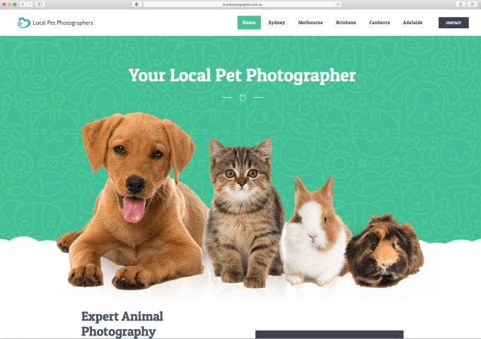 Bestseller - add your guest post to my australian pet and dog photography da50 site