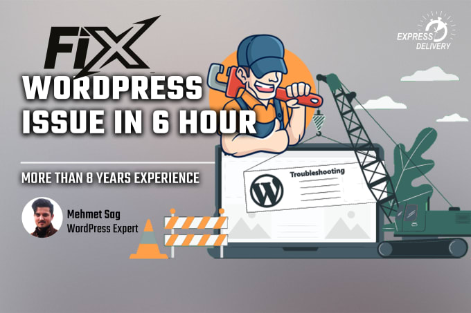 Gig Preview - Fix your wordpress errors and issues