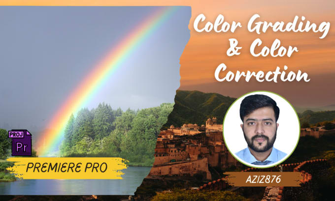 Gig Preview - Do color grading color correction in 24 hours