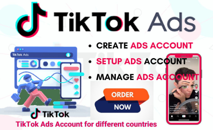 Gig Preview - Manage tik tok ads, optimize tik tok ads manager