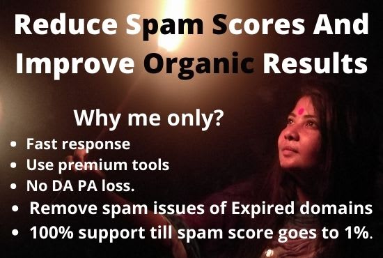 Gig Preview - Reduce spam scores and improve organic results