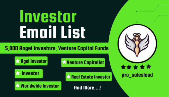 Gig Preview - Provide USA and european angel investors verified email list from crunchbase