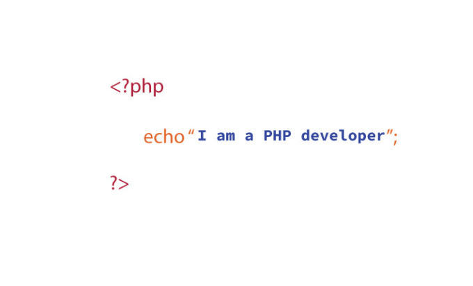 Gig Preview - Do PHP web applications