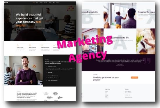 Gig Preview - Create digital marketing agency website for wordpress