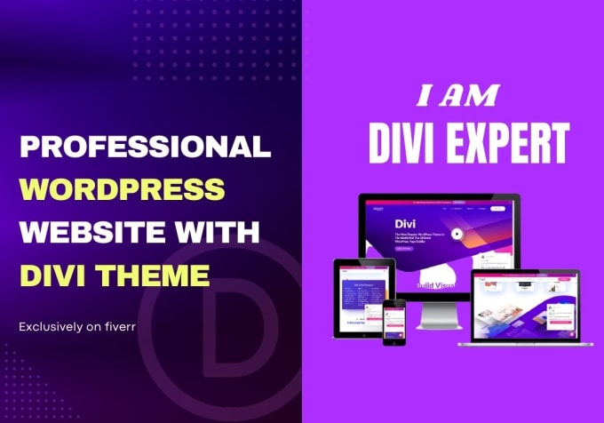 Gig Preview - Create unique divi wordpress website, landing page, using divi theme