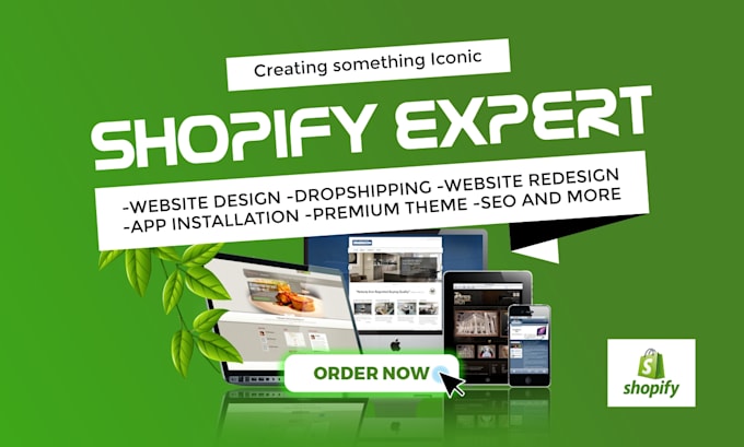 Gig Preview - Redesign shopify website, design shopify website