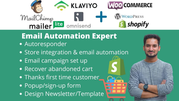 Gig Preview - Be your email marketing expert for email campaign flows template popup