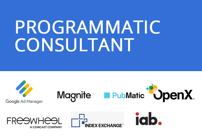 Gig Preview - Consult you on your programmatic needs