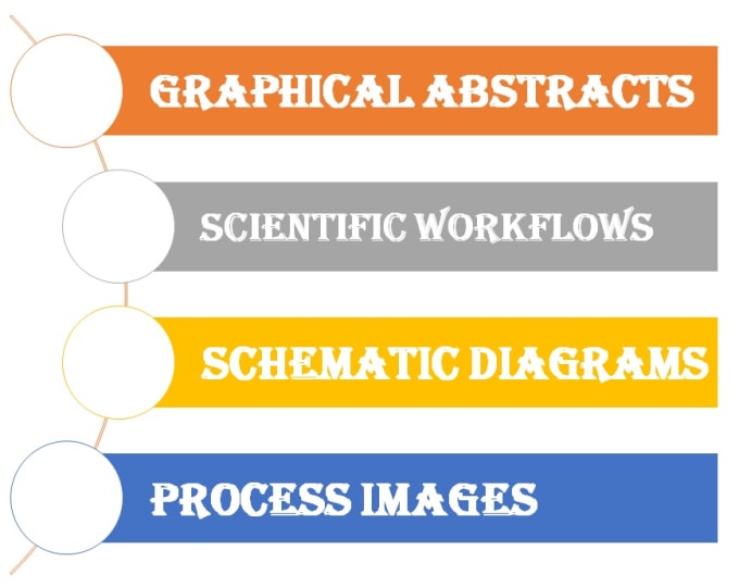 Gig Preview - Design process images and scientific workflows