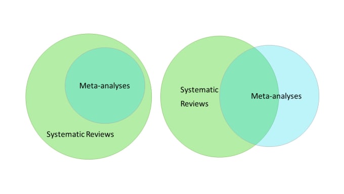 Bestseller - conduct a comprehensive systematic review and meta analysis