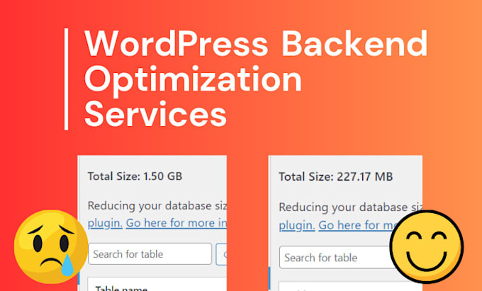 Gig Preview - Clean and optimize wordpress backend