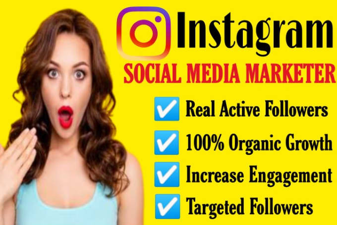 Gig Preview - Do instagram organic follower growth