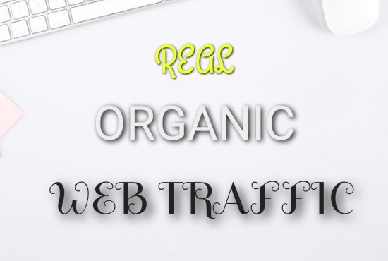 Gig Preview - Drive real organic web traffic