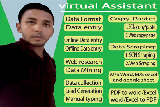 Gig Preview - Be your exclusive, data entry and copy paste virtual assistant