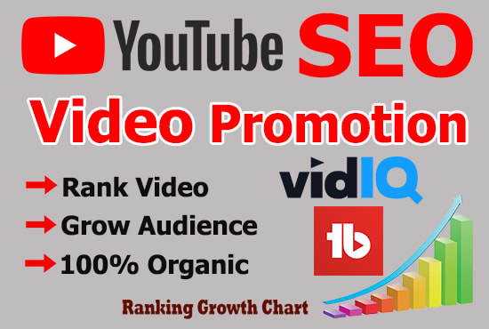 Gig Preview - Do youtube channel promotion and SEO by vidiq