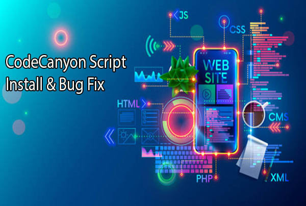 Gig Preview - Install any codecanyon PHP script and fix the bug