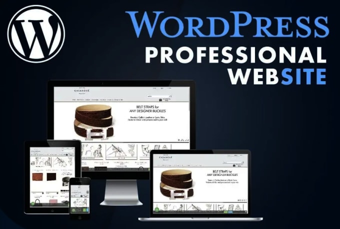 Gig Preview - Build professional and responsive wordpress website