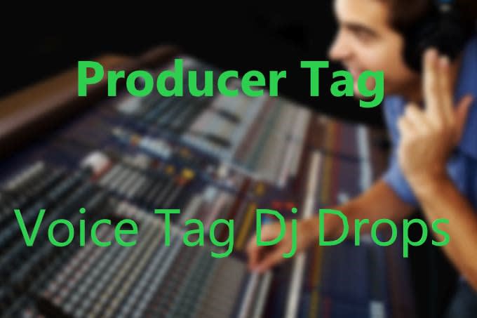 Gig Preview - Make voice tag producer tag or say any word