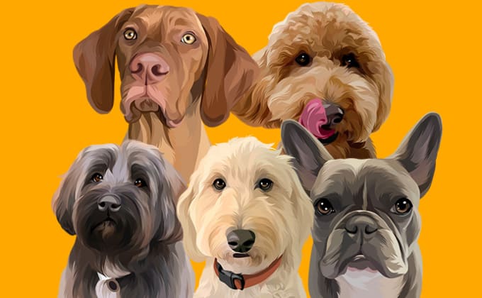 Gig Preview - Drawing your pet into vector cartoon in 24 hour