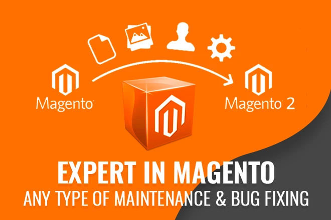 Gig Preview - Upgrade and protect your magento 2 website professionally