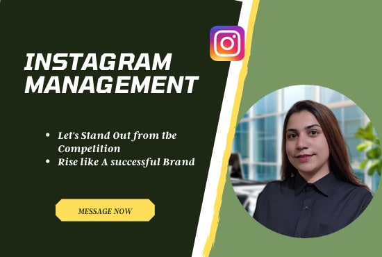 Gig Preview - Manage and grow your instagram