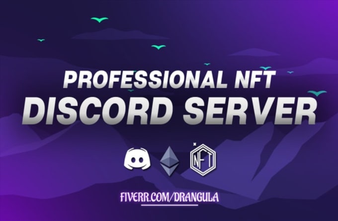 Gig Preview - Set up a professional discord server for your nft