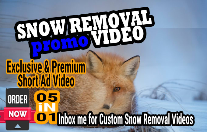 Gig Preview - Do snow removal video, snow clearing service promo video ads