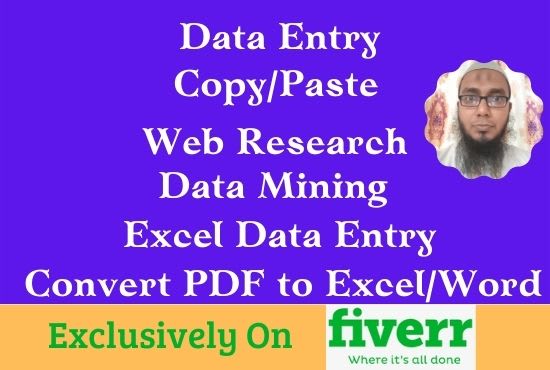 Gig Preview - Do fastest data entry, copy paste, web research, excel data entry, data mining